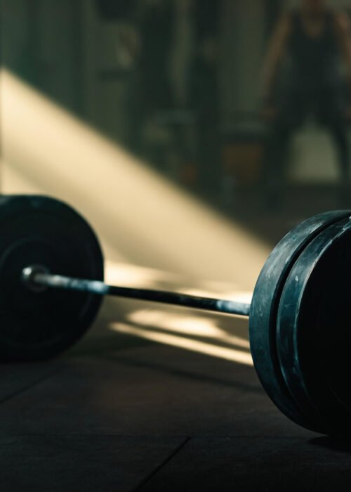 antoni khadraoui professionnel trainer - mr olypmia - coach haut niveau